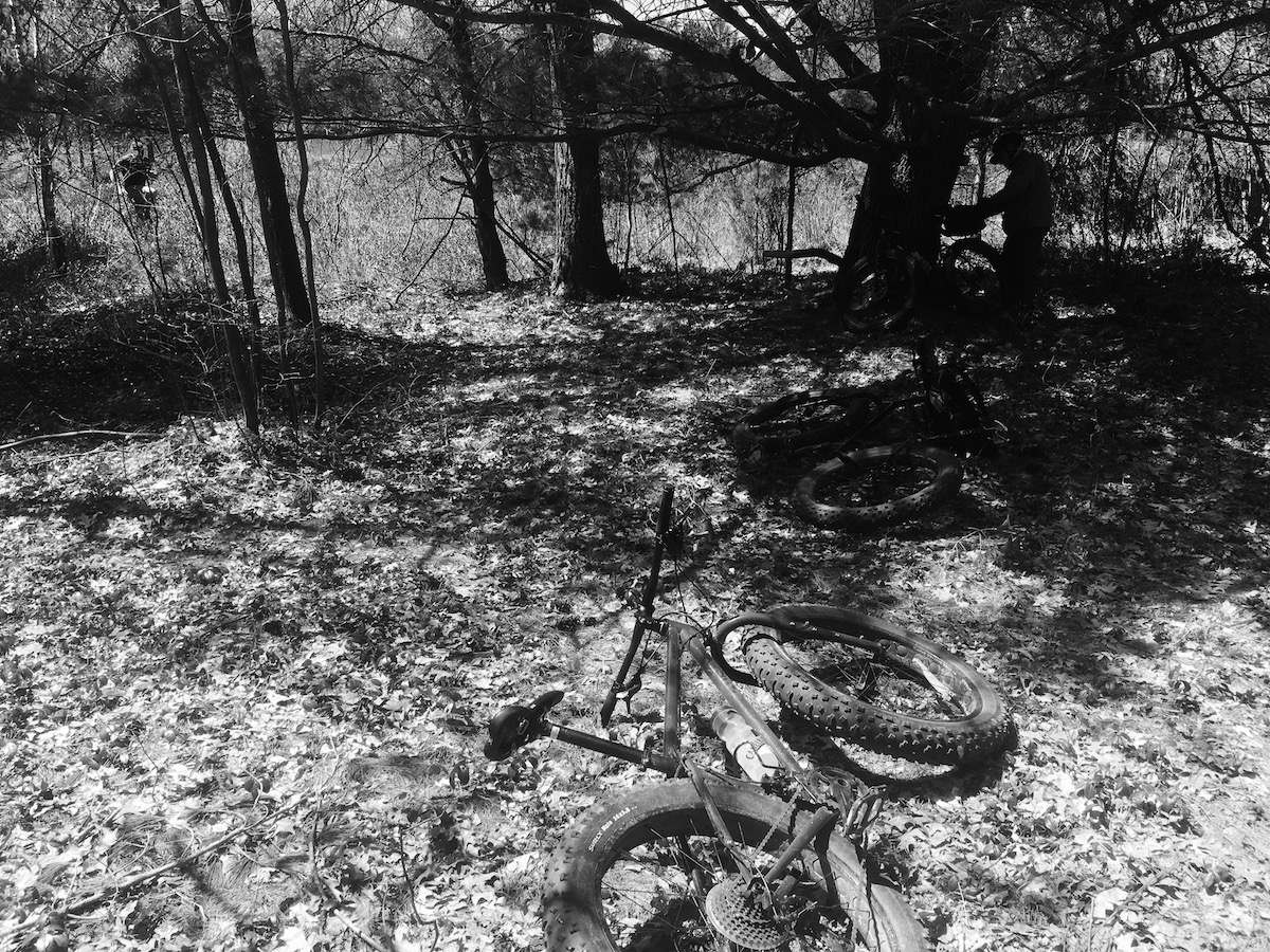 Fat Bike Ride Picture