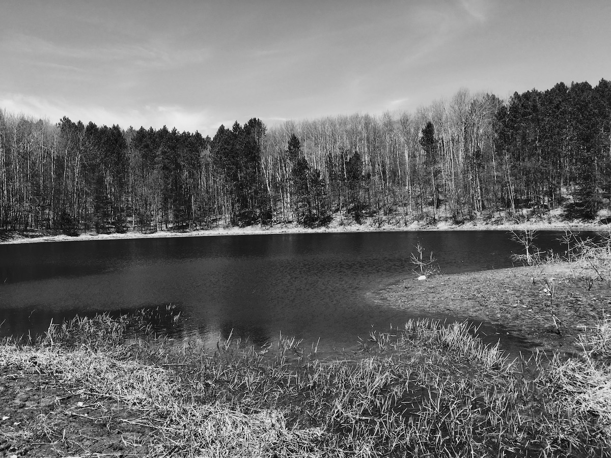 Fat Bike Ride Picture