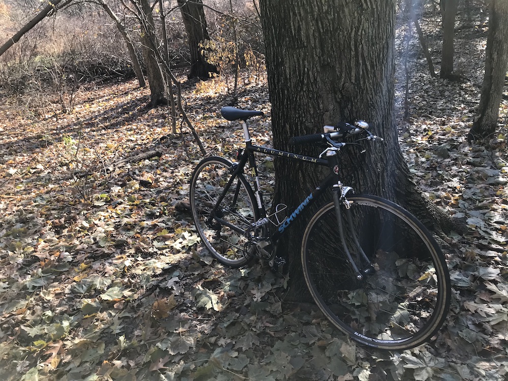 The Schwinn, Alive