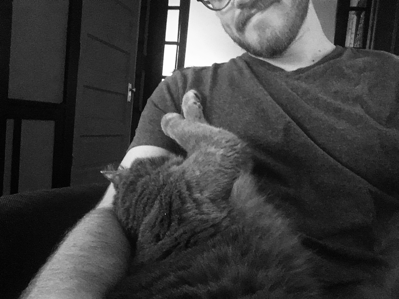 George the Cat